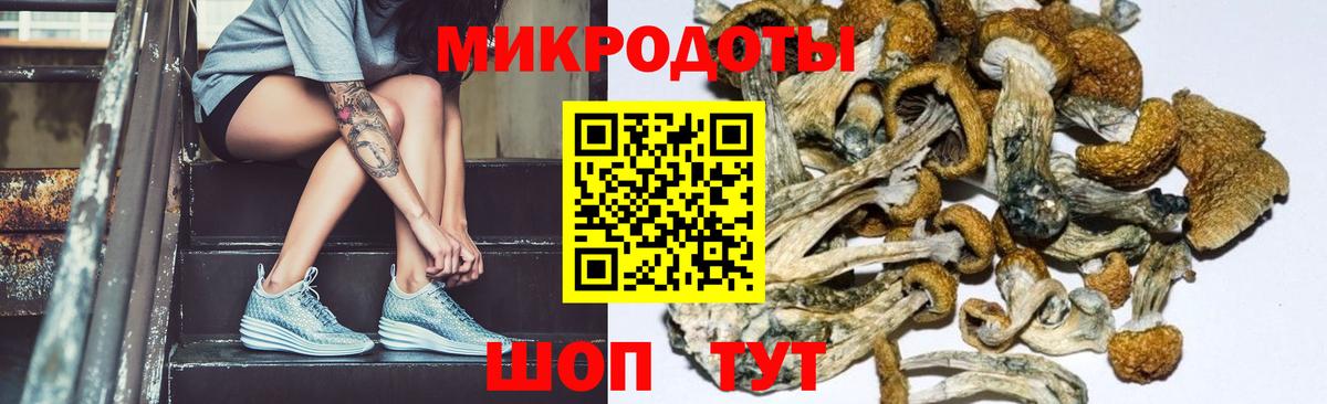 где купить наркотик  Галлюциногенные грибы Cubensis  Вход с VPN  Сертолово 