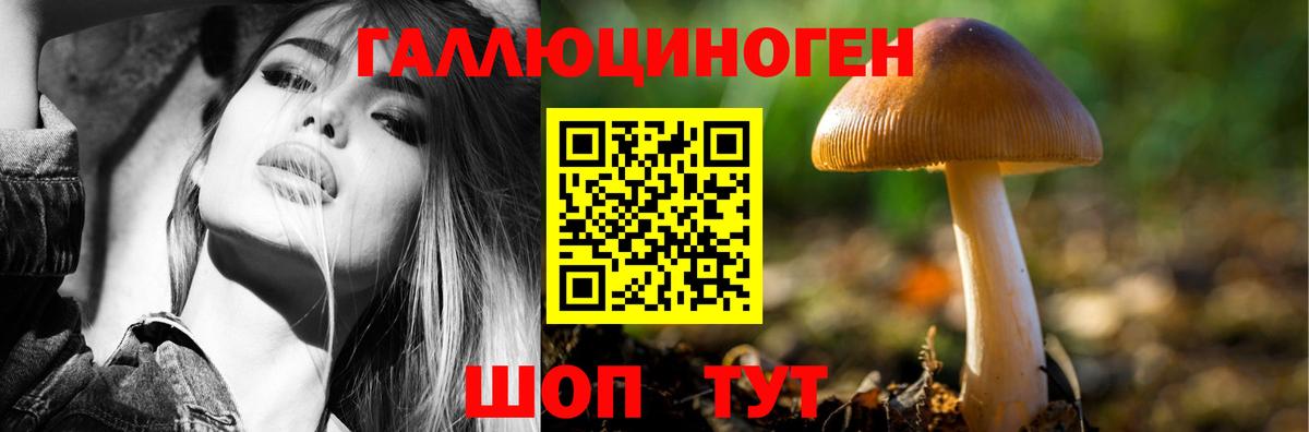 Псилоцибиновые грибы мицелий Сертолово